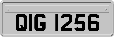 QIG1256
