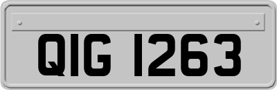 QIG1263