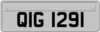 QIG1291