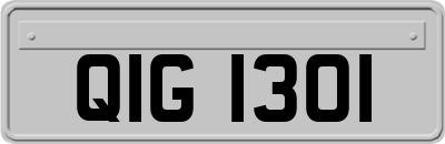 QIG1301
