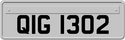 QIG1302