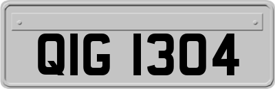 QIG1304