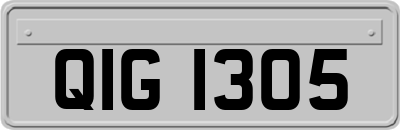 QIG1305
