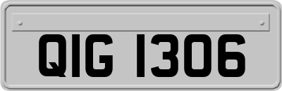 QIG1306
