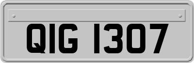 QIG1307
