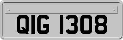 QIG1308