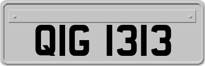 QIG1313
