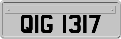 QIG1317