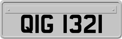 QIG1321