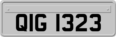 QIG1323