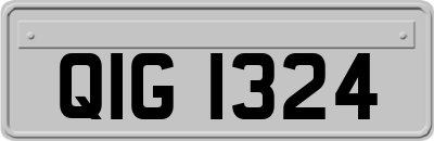 QIG1324