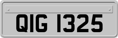 QIG1325