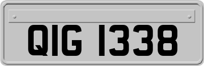 QIG1338