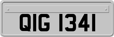 QIG1341