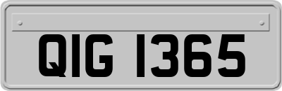 QIG1365