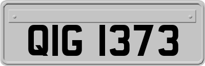 QIG1373
