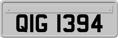 QIG1394