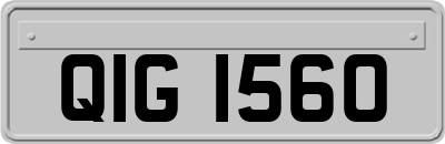 QIG1560