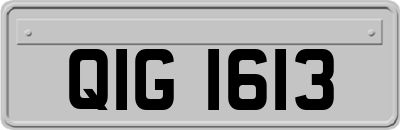 QIG1613
