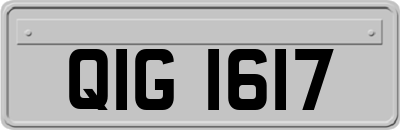QIG1617
