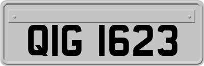 QIG1623