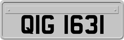 QIG1631