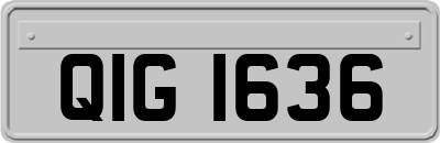 QIG1636