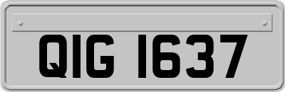 QIG1637