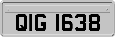 QIG1638