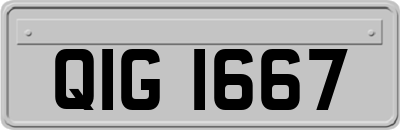 QIG1667