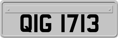 QIG1713