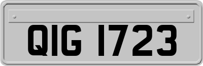 QIG1723