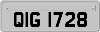 QIG1728