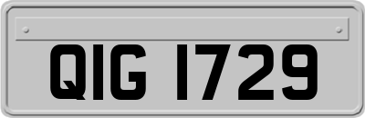 QIG1729