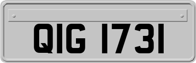 QIG1731