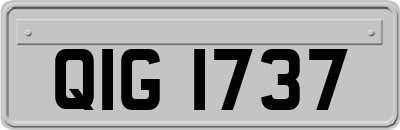 QIG1737
