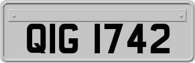 QIG1742