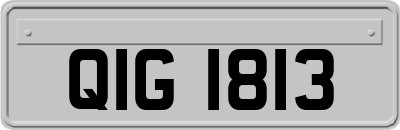 QIG1813