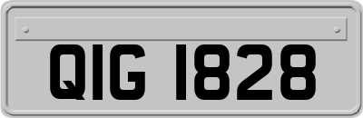 QIG1828