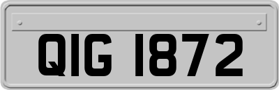 QIG1872