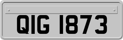 QIG1873