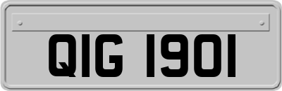 QIG1901
