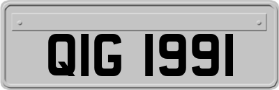 QIG1991