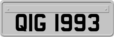 QIG1993
