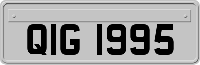 QIG1995