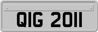 QIG2011
