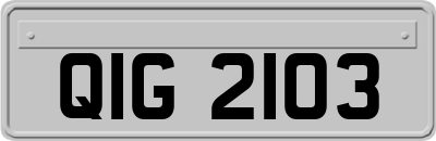 QIG2103