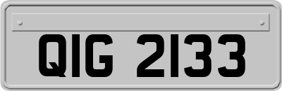 QIG2133