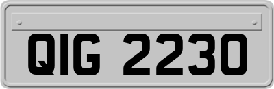 QIG2230