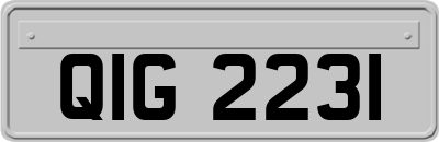 QIG2231